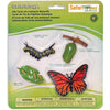 Safari Ltd. Life Cycle of a Honey Bee - Educational Toy Figurines - Miniature Bee Lifecycle Collection for Boys, Girls & Kids Age 4+ - Monarch Butterfly