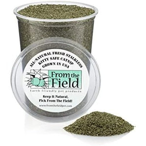 Buy now from The Field | Fine Ground Stalkless Catnip | Premium USA-Grown Catnip for Toys & Playtime | Fresh, Potent, Non-Toxic, Eco-Friendly | Safe for Kittens & Cats | Resealable 6 oz Tub at indiglob india