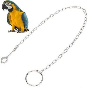 Buy now Rehomy Parrot Foot Chain, Stainless Steel Anti-bite Flying Training Anklet Ring Bird Harness for Parrots Macaw African Greys Parakeet Cockatoo Cockatiel Conure Lovebird at indiglob india