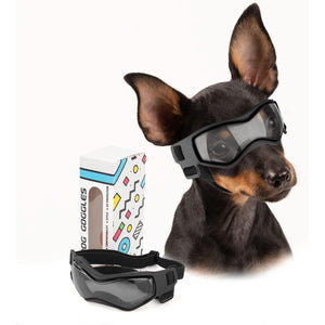 Buy now PETLESO Small Breed Dog Goggles, Sunglasses with UV Protection for Outdoor Riding & Driving, Black at indiglob india