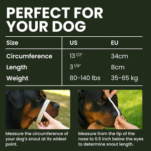 Buy now BRONZEDOG Dog Muzzle Adjustable Durable Metal Wire Basket for Large and Extra Large Dogs with Leather Straps Breathable, Drinkable, Training, Prevents Biting (Stainless Steel, Rottweiler) at indiglob india