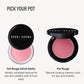 Bobbi Brown Bobbi Brown Pot Rouge for Lips & Cheeks | Cream Blush for a Flushed, Natural-Looking Blush, 0.13 Ounce India | Shop  Online