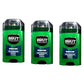 Buy now Brut Deodorant Oval Solid 2.25 Oz. - 24 Hour Protection with Trimax (3 Sticks) Original Fragrance 3 Pack at indiglob india