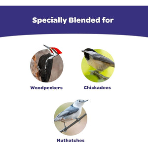 Buy now Kaytee Woodpecker Seed Cake, Wild Bird Food, 1.85 Pounds at indiglob india