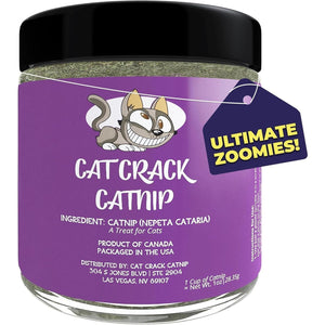 Buy now Cat Crack Catnip, Zoomie-Inducing Cat Nip Blend, North American Made & 100% Natural, Safe & Non-Addictive Catnip Treats Used to Supplement Cat Nip Toys, Spray, & Accessories (1 Cup) at indiglob india