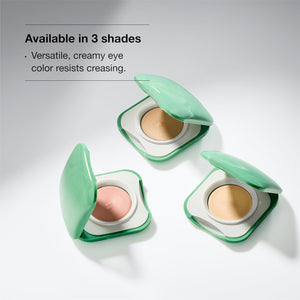 Clinique Clinique Touch Base For Eyes Long Lasting Cream Eye Shadow and Primer | Safe For Sensitive Eyes Online | Best India Price