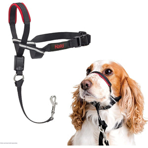 Buy now HALTI Optifit Headcollar - To Stop Your Dog Pulling on the Leash. Adjustable, Reflective and Lightweight, with Padded Nose Band. Dog Training Anti-Pull Collar for Medium Dogs (Size Medium) at indiglob india