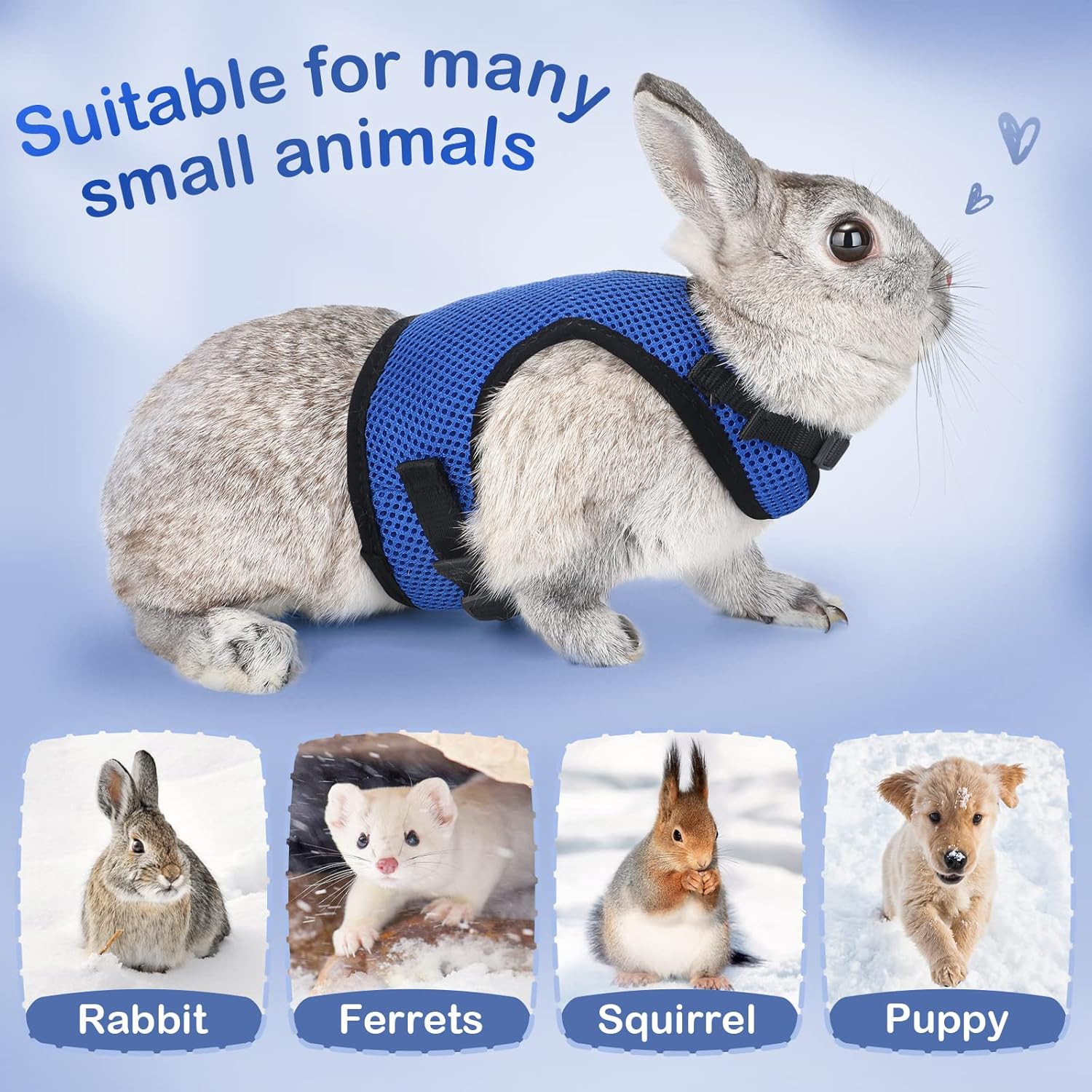 Buy now PETTOM Bunny Rabbit Harness with Stretchy Leash Cute Adjustable Buckle Breathable Mesh Vest for Kitten Small Pets Walking (Blue,S) at indiglob india