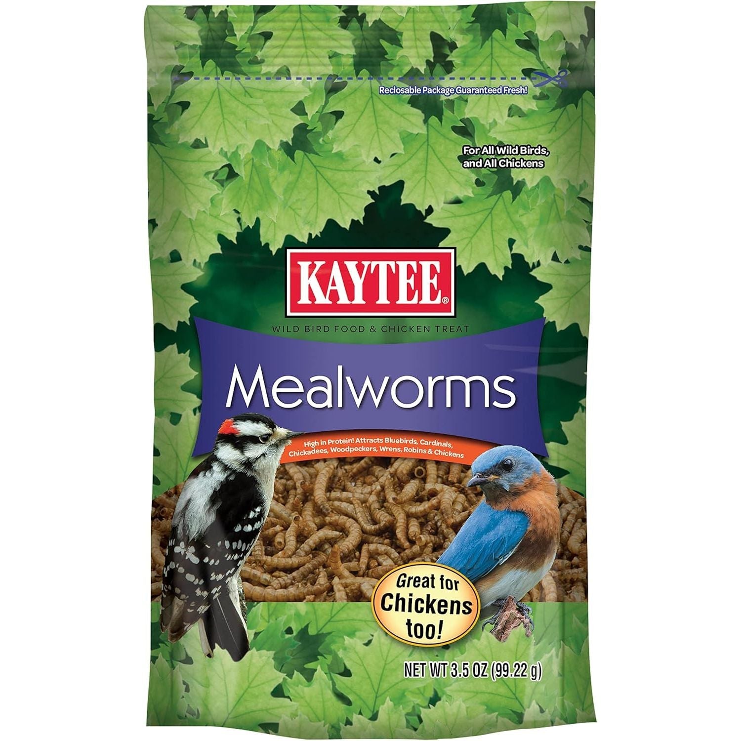 Buy now Kaytee Wild Bird Food Mealworms For Bluebirds, Wrens, Robins, Chickadees, Woodpeckers, Cardinals & Chickens, 3.5 Ounce at indiglob india