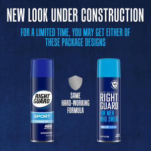 Buy now Right Guard Sport Powder Dry Scent Antiperspirant & Deodorant Spray - 4-in-1 Protection Spray Deodorant For Men, Blocks Sweat, 48-Hour Odor Protection, Quick-Drying, & Long-Lasting, 6oz at indiglob india