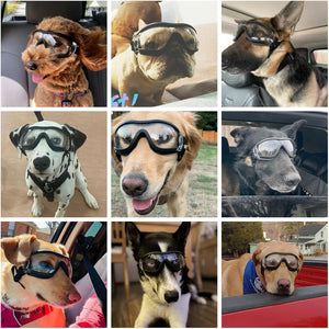 Buy now NAMSAN Dog Sunglasses Medium to Large Dog UV Transparent Goggles Windproof Anti-Dust Snowproof Pet Glasses with Elastic Straps, Clear at indiglob india