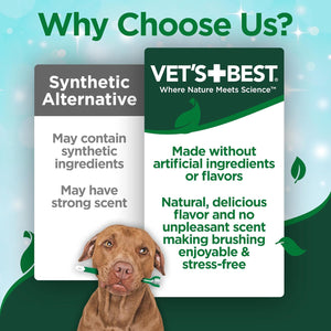 Buy now Vet’s Best Enzymatic Dog Toothpaste – Vet Formulated Dental Gel for Teeth Cleaning, Fresh Breath, Tartar Control, Plaque Remover & Oral Hygiene for Dogs, 3.5 oz at indiglob india